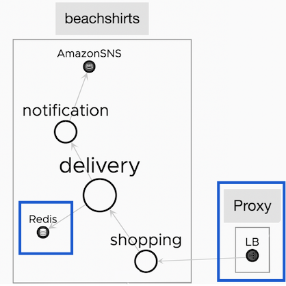 The application map with the custom Redis database, Nginx load balancer, and an out-of-the-box Amazon SNS service.